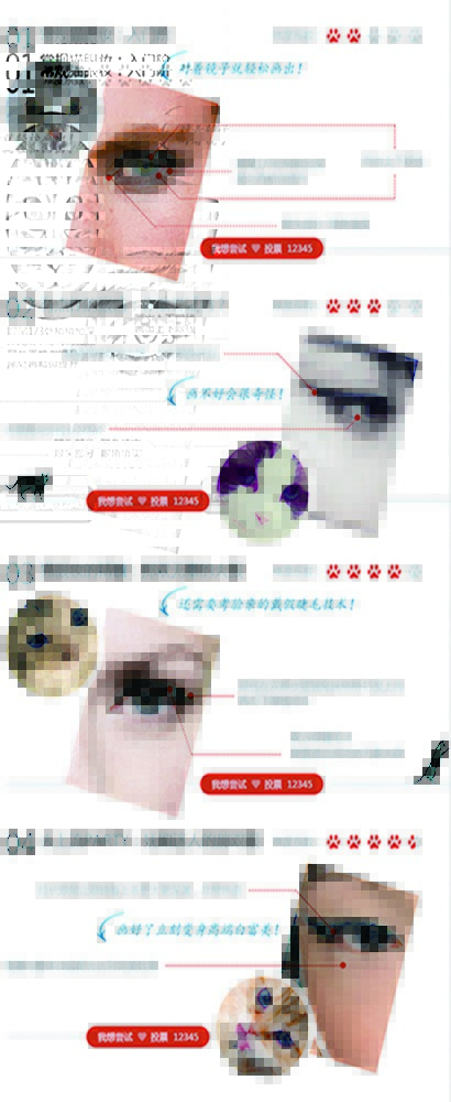 ͼƬ