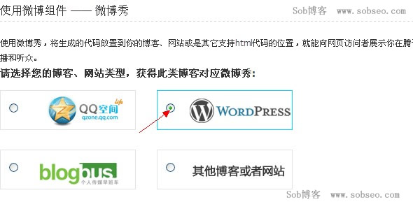 ѡʺwordpress΢ 